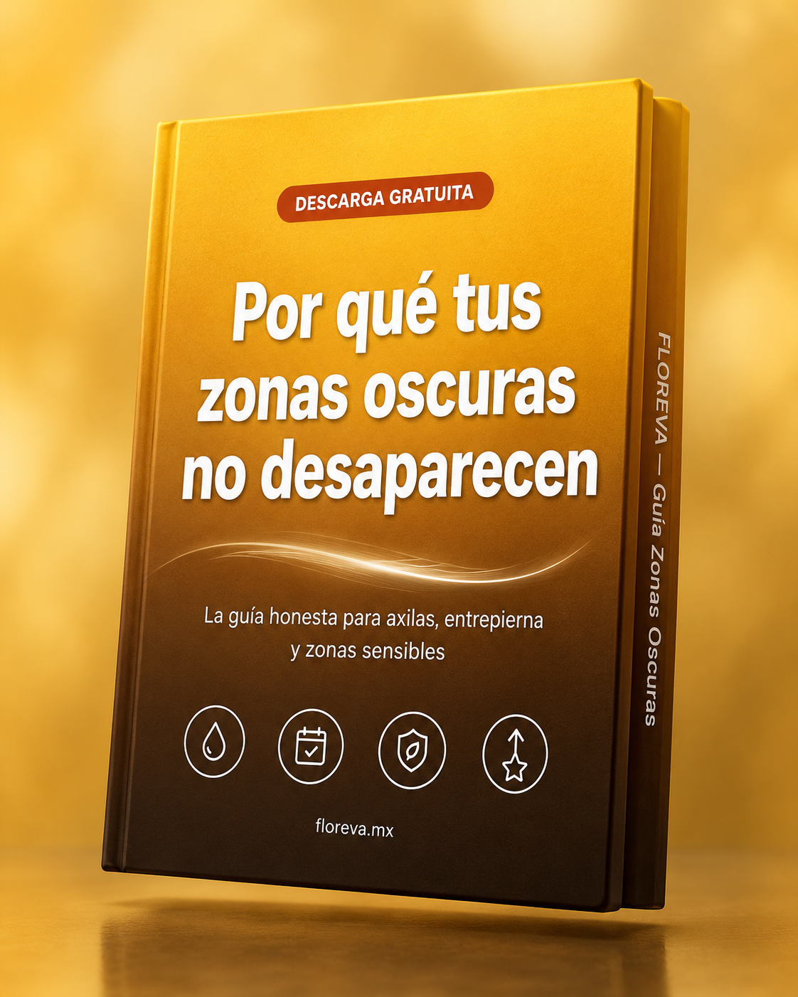 Ebook Gratis!